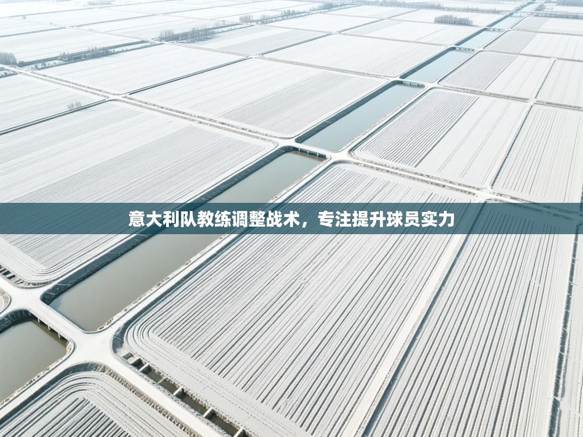 意大利队教练调整战术，专注提升球员实力  第1张