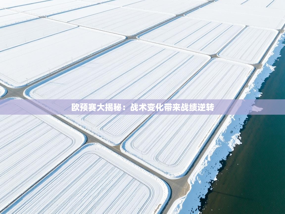 欧预赛大揭秘：战术变化带来战绩逆转  第2张