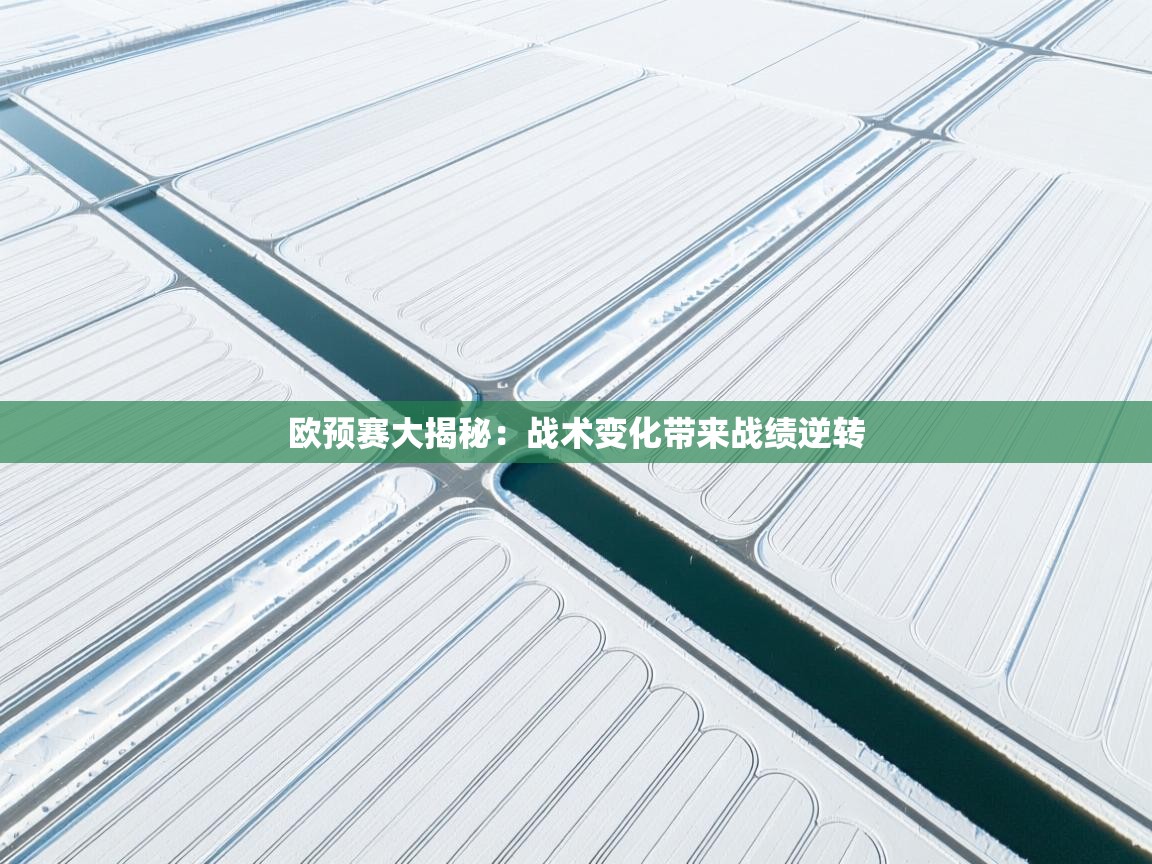 欧预赛大揭秘：战术变化带来战绩逆转  第1张