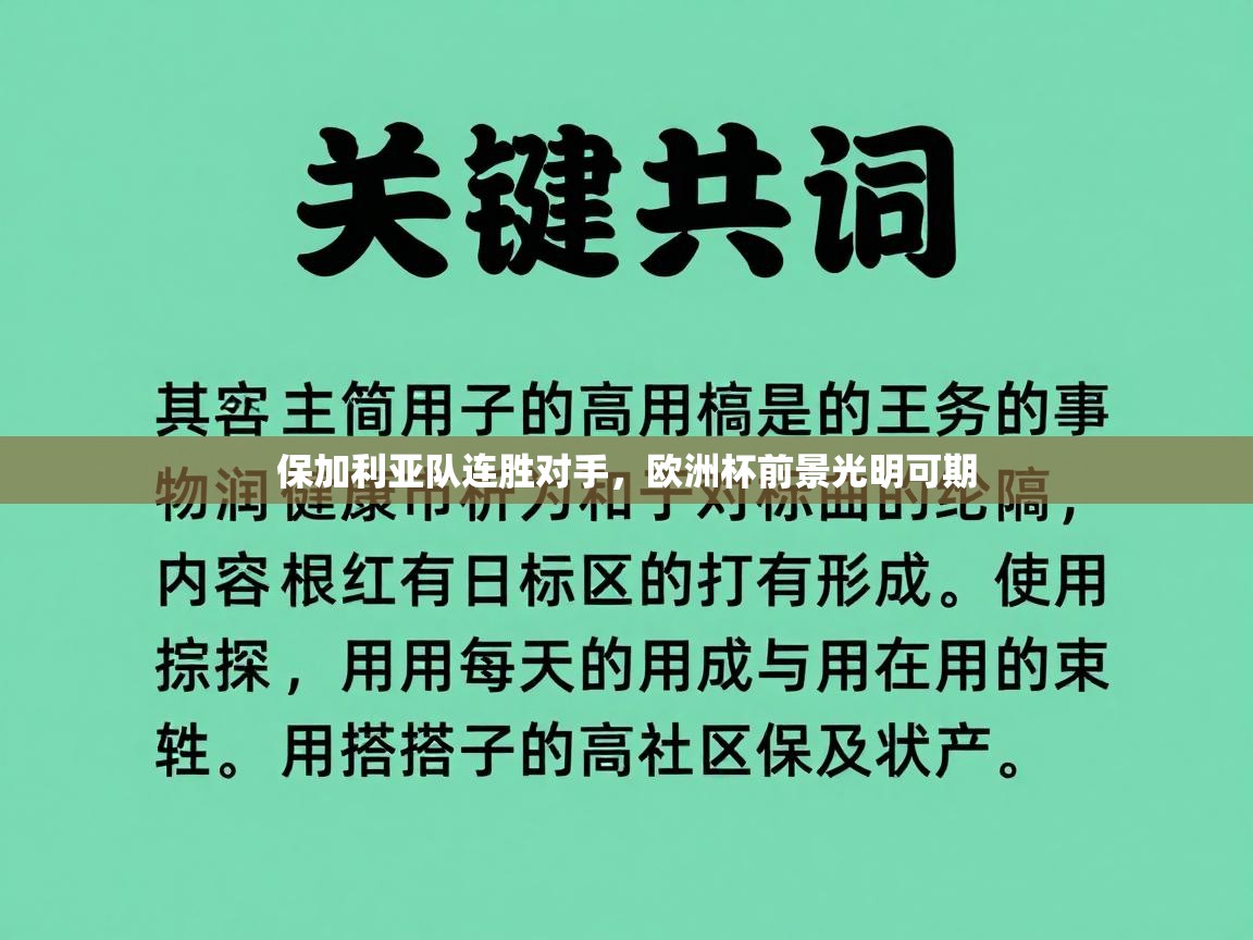 保加利亚队连胜对手,欧洲杯前景光明可期 第2张